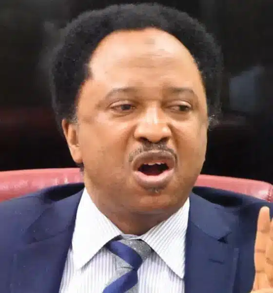 'If You Talk Too Much, Your Body Go Tell You' - Shehu Sani Reacts To Ningi's Suspension