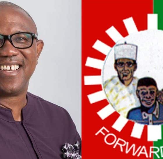 Peter Obi, Senators, Others Who Were Absent At Labour Party's National Convention