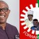 Labour Party Designates Peter Obi As Presidential Flagbearer For 2027