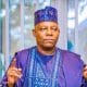 Nigeria Will Become Major Global Economic Force Under Tinubu – Shettima