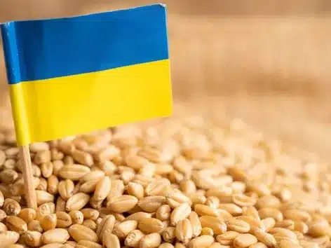Ukraine Offers Grain Donation To Nigeria In Response To Food Price Surge