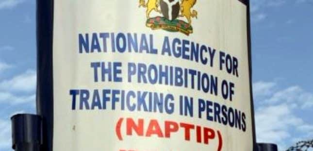 Human Trafficking: NAPTIP Issues Fresh Directives To Nigerians Who Employ Housemaids