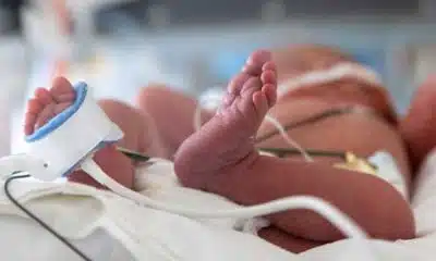 Concerns As Report Reveals 44 Out Of 100 Newborns Die In Sokoto