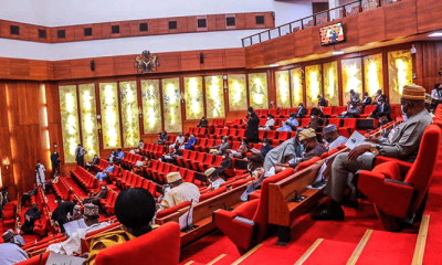 Just In: Senate Suspends Plenary For One Week After Fight Among Lawmakers On Sitting Arrangement In New Chamber