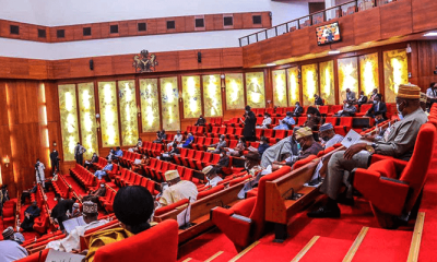 Senate Approves Tinubu's Request To Sack Three INEC RECs