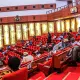 Several TV Stations, Journalists Barred From Covering Senate Plenary