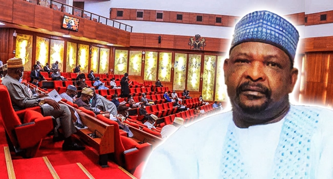 Arewa Group Demands Ningi’s Reinstatement, Threatens To Mobilize People From 19 Northern States To Storm The National Assembly