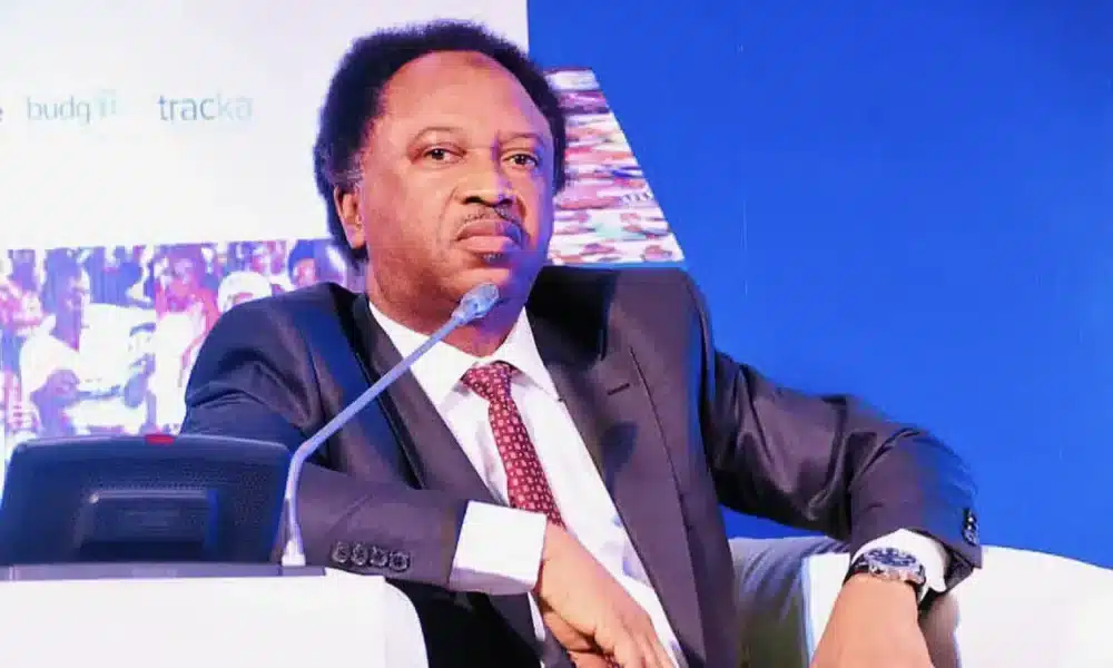 Political Interests Frustrating Amendment Of The Constitution – Shehu Sani