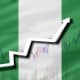 From Survival To Solutions: Unpacking Nigeria's Toughest Challenges Amid Inflation