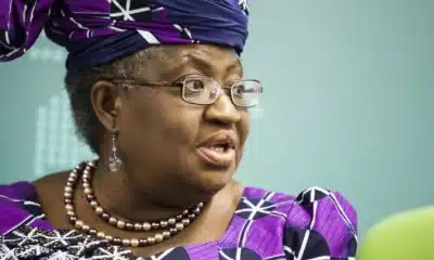 Okonjo-Iweala Reveals Reason Behind Nigeria's Agricultural Exports Collapse
