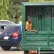 Police Rearrest Convict Who Escaped Prison During Borno Flood