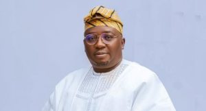 Tinubu Govt Can't Fix 50-Year Electricity Problem In One Year – Adelabu Tells Nigerians