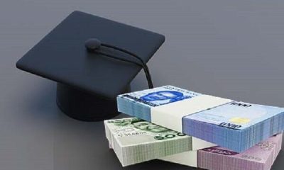 Just In: NELFUND Lists 36 State Tertiary Institutions That Can Apply For Students' Loan (Full List)