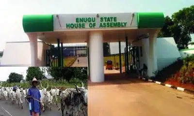 Enugu Assembly Passes Public Ranch Agency Bill To Resolve Farmers/Herders Conflict