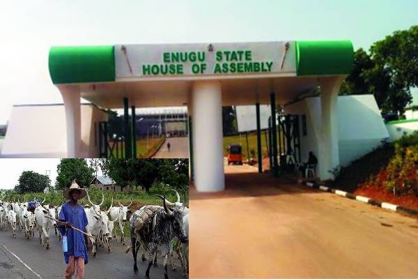 Enugu Assembly Passes Public Ranch Agency Bill To Resolve Farmers/Herders Conflict