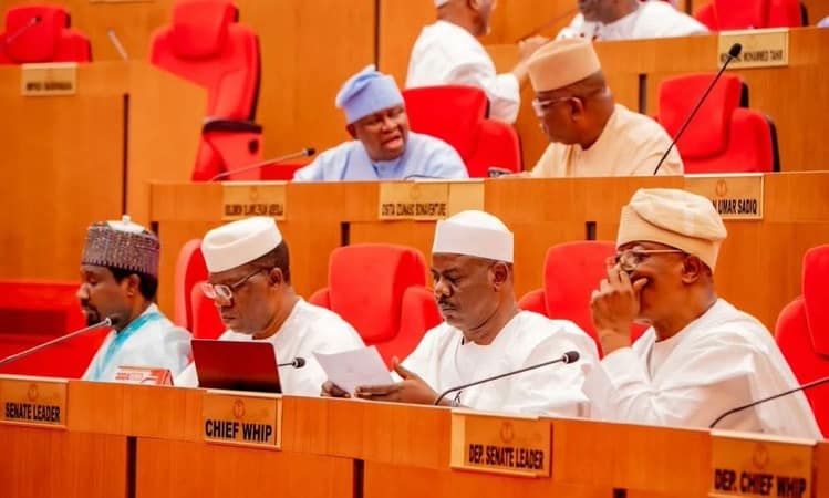 Renovation Of Senate Chamber Was Poorly Done  – Ndume