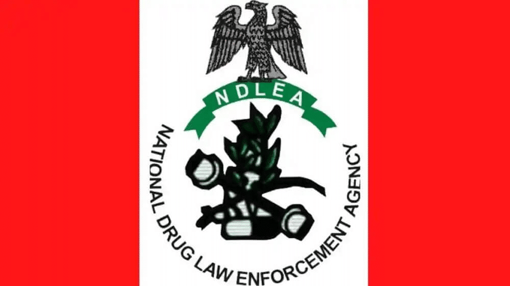 NDLEA Cracks Down On Drug Syndicate, Declares Couple Wanted