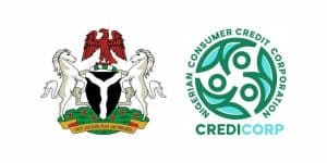 Buy Now Pay Later: FG Gives Update On Consumer Credit Scheme Application