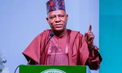 Nigeria Will Overtake US To Become Third Most Populous Nation On Earth - Shettima