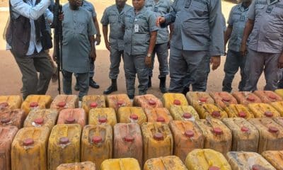 Customs In Adamawa Seize Petrol Worth ₦10.8 Million Enroute To Cameroon