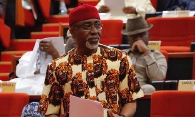 North Has Enough Land For Ranching - Senator Abaribe