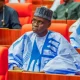 I Was Destined By God To Become Chief Whip - Senator Monguno