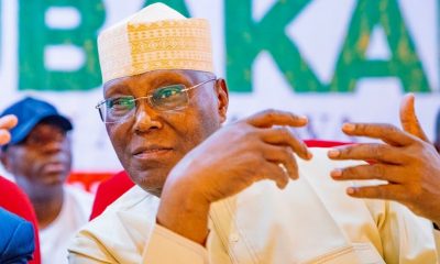 PDP Will Not Die If Atiku Leaves - Ogidi