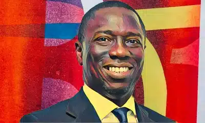 Edo 2024 Election: PDP's Asue Ighodalo's Profile