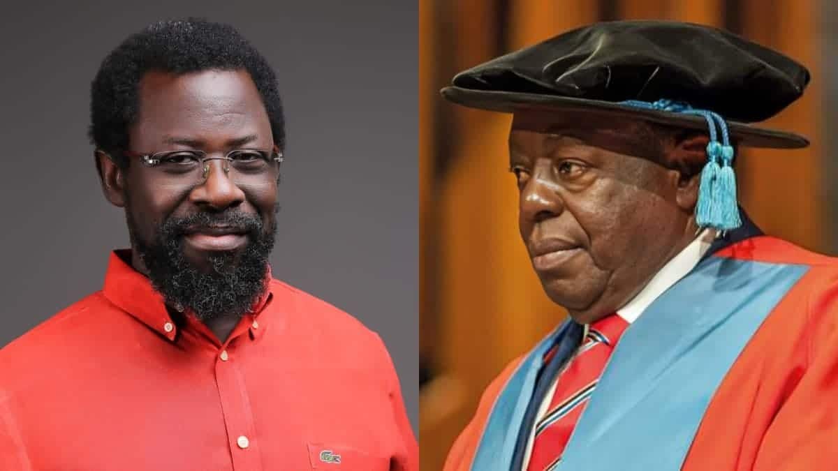 Alleged Defamation: It's A Long Journey For Farotimi And Babalola, Issue Has Divided Nigeria Into Two - Nzeakor
