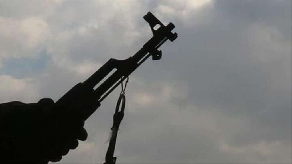 Why FG Should Not Approve Nigerians’ License To Carry Guns – APC Chieftain Reveals