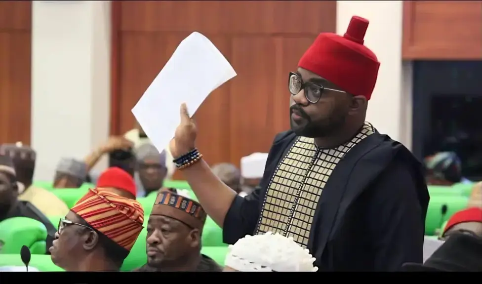 The member representing Ideato North/Ideato South Federal Constituency of Imo State in the House of Representatives, Ikenga Ugochinyere
