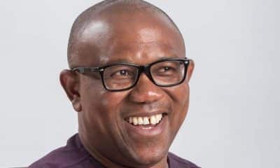Peter Obi Introduced Ethnic Bigotry In Nigeria's Politics - Ogun King