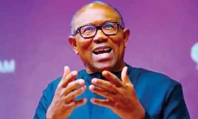 Nigeria Doesn't Need Second Tenure, Single 5-Year Tenure Is Enough - Peter Obi