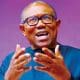 Nigeria Doesn't Need Second Tenure, Single 5-Year Tenure Is Enough - Peter Obi