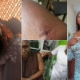 UNIZIK Expels Female Student For Assaulting Lecturer
