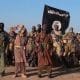 Boko Haram Origin, Shekau, ISIS, El-Zakzaky, Other Untold Stories Of Terrorism In The Northern Nigeria [Details]