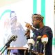 Alleged Killing Of Immigration Officer On Order Of Chinese Firm Still Under Investigation - Tunji-Ojo Clarifies