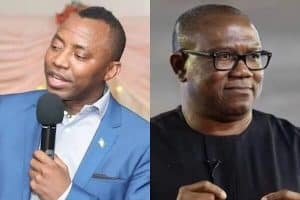 'Presidency Attacks Peter Obi Because They Know He Is A Wimp' - Sowore
