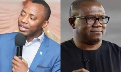 'Presidency Attacks Peter Obi Because They Know He Is A Wimp' - Sowore