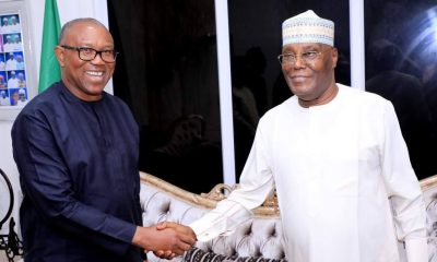 Nigerians Have Written Peter Obi, Atiku Off - APC Chieftess, Sadda