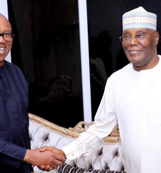 Nigerians Have Written Peter Obi, Atiku Off - APC Chieftess, Sadda