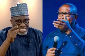 'Don’t De-market The Country You Want To Lead' — Sowunmi Cautions Peter Obi