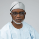 Damagum Obeys Governors Appoints Koshoedo PDP's National Secretary