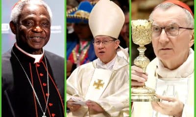 Who Will Be the Next Pope? Key Contenders Emerge After Pope Francis’ Death At 88