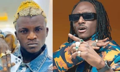 Portable and Terry G