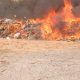 NDLEA Destroys 1.6 Million kg Of Illicit Drugs Seized In Lagos, Ogun , Oyo