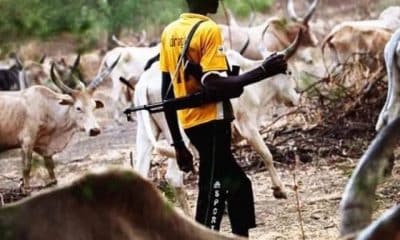 Miyetti Allah Tells President Tinubu To Protect Herdsmen