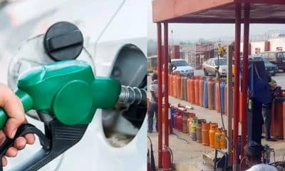 How Petrol Price Cuts Are Driving Down The Cost Of Cooking Gas In Nigeria – IPMAN