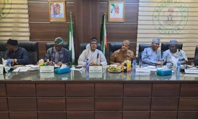 PDP Governors