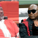 Charley Boy and Dino